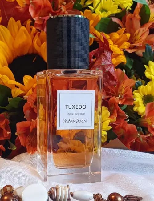 عطر ایو سن لورن تُکسدو | Yves Saint Laurent Tuxedo — تصویر ۵