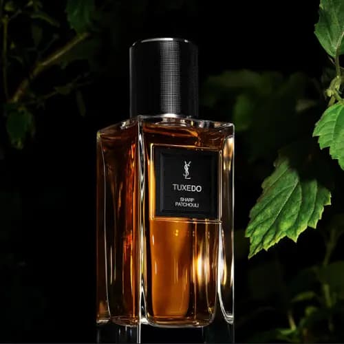 عطر ایو سن لورن تُکسدو | Yves Saint Laurent Tuxedo — تصویر ۲
