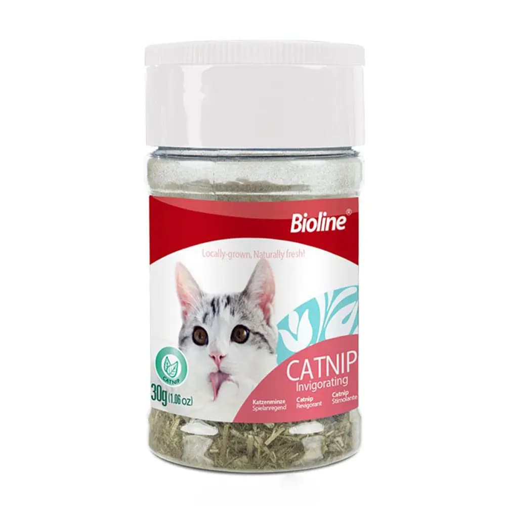 گیاه کت نیپ گربه بایولاین – Bioline Catnip Invigorating