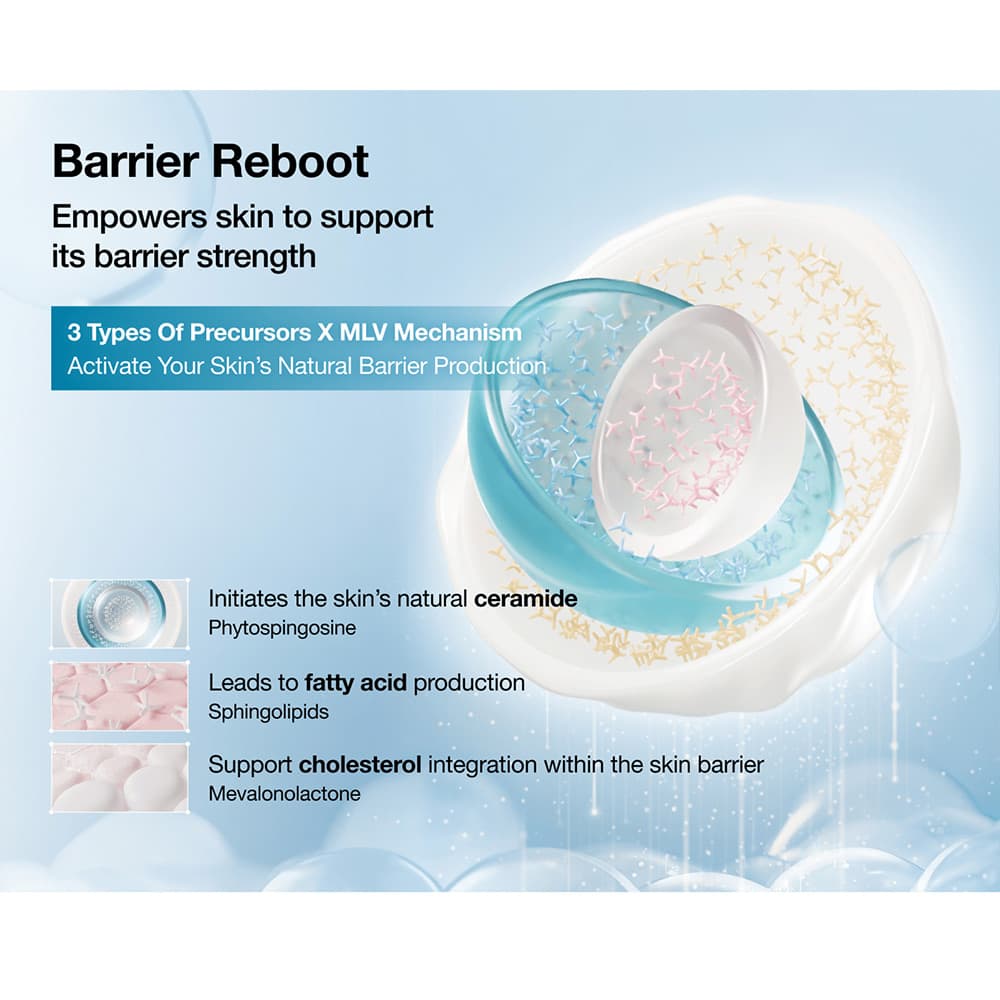 کرم ترمیم کننده سد دفاعی و مرطوب کننده روزانه آنوا Anua Barrier Reboot Daily Moisturizer — تصویر ۸