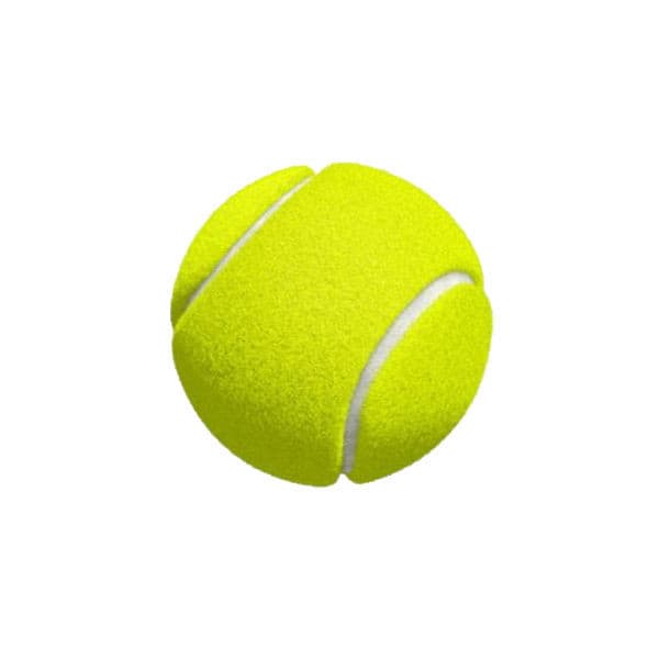 اسباب بازی توپ تنیس سگ Dog Tennis ball