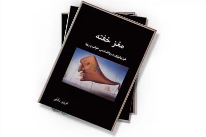 کتاب مغز خفته از نویسنده شروین وکیلی_ کامل | دانلود | کتاب خوان — تصویر ۲