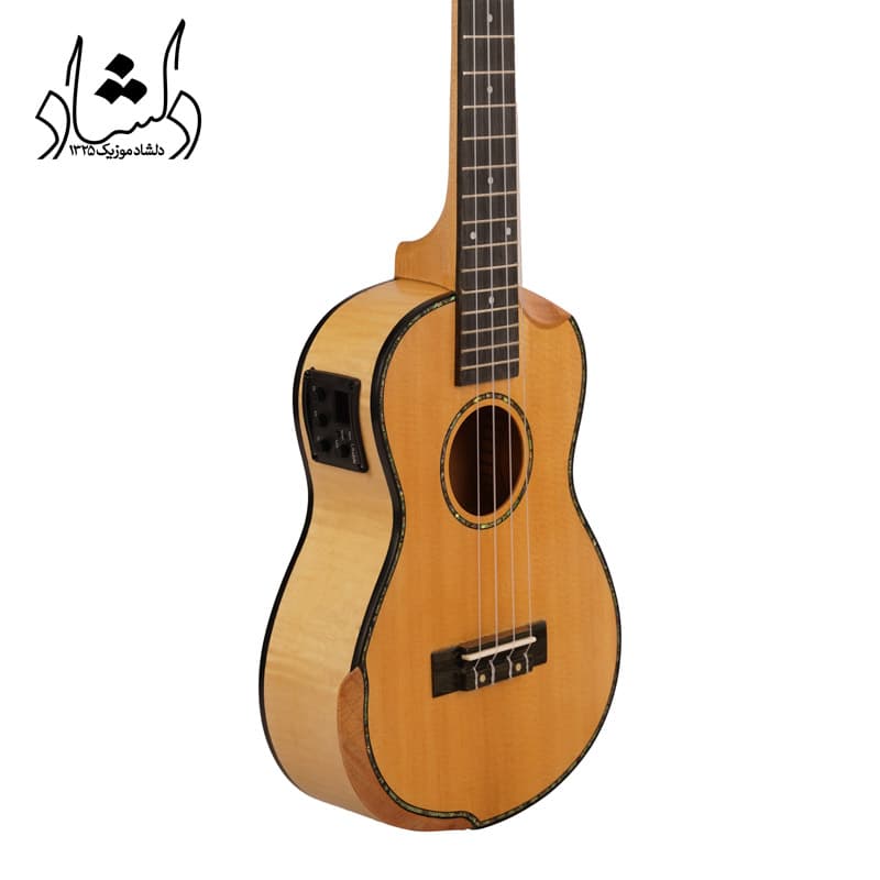 گیتار اوکوله له فندر پیکاپ دار — تصویر ۱۲