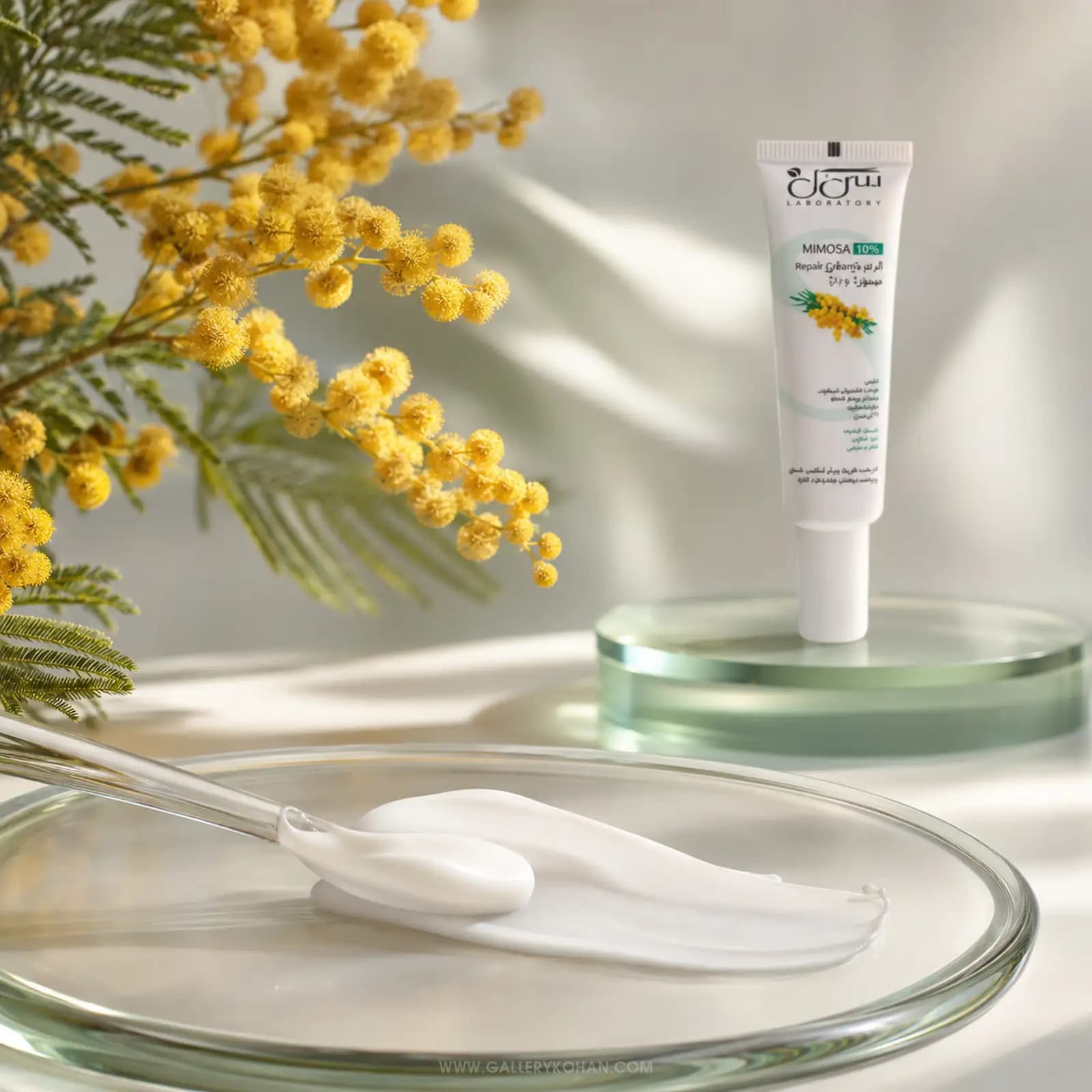 کرم ترمیم کننده سی گل Mimosa 10٪ — تصویر ۴