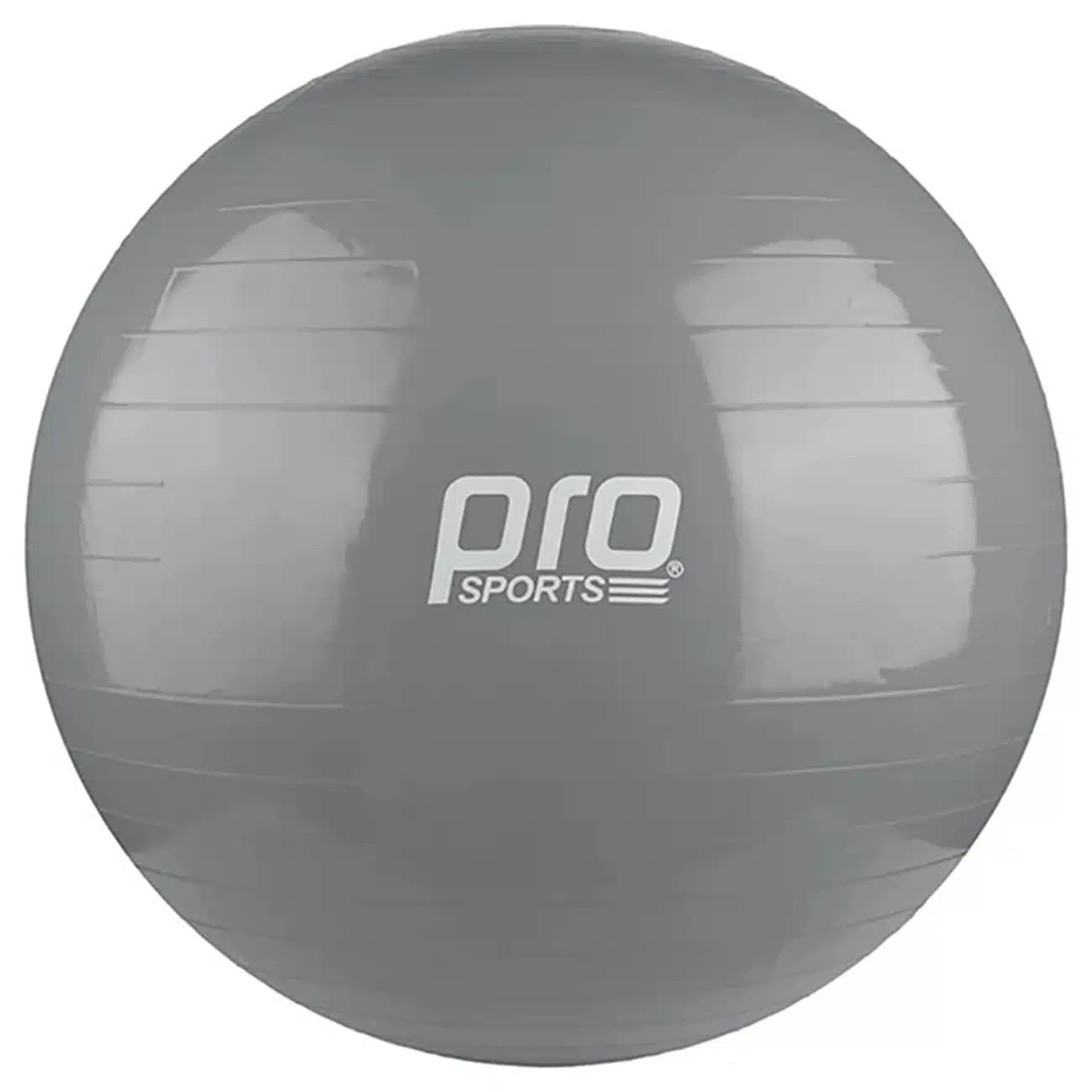 توپ جیم بال پرو اسپرتز Pro Sports مدل NO-75CM1 با تلمبه — تصویر ۱۲