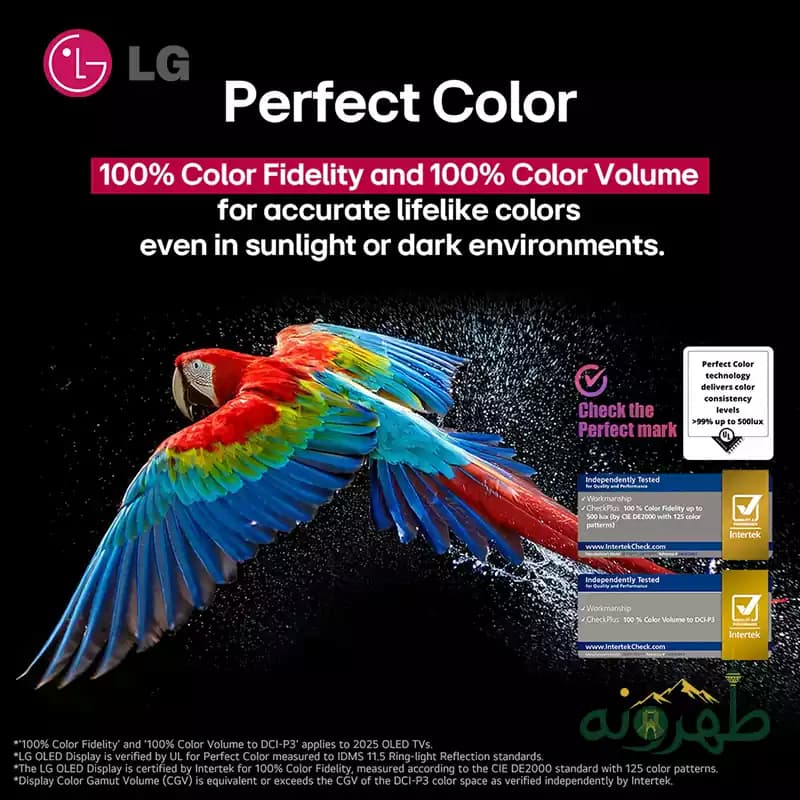 تلویزیون 77 اینچ ال جی LG مدل OLED77C56LA — تصویر ۱۱