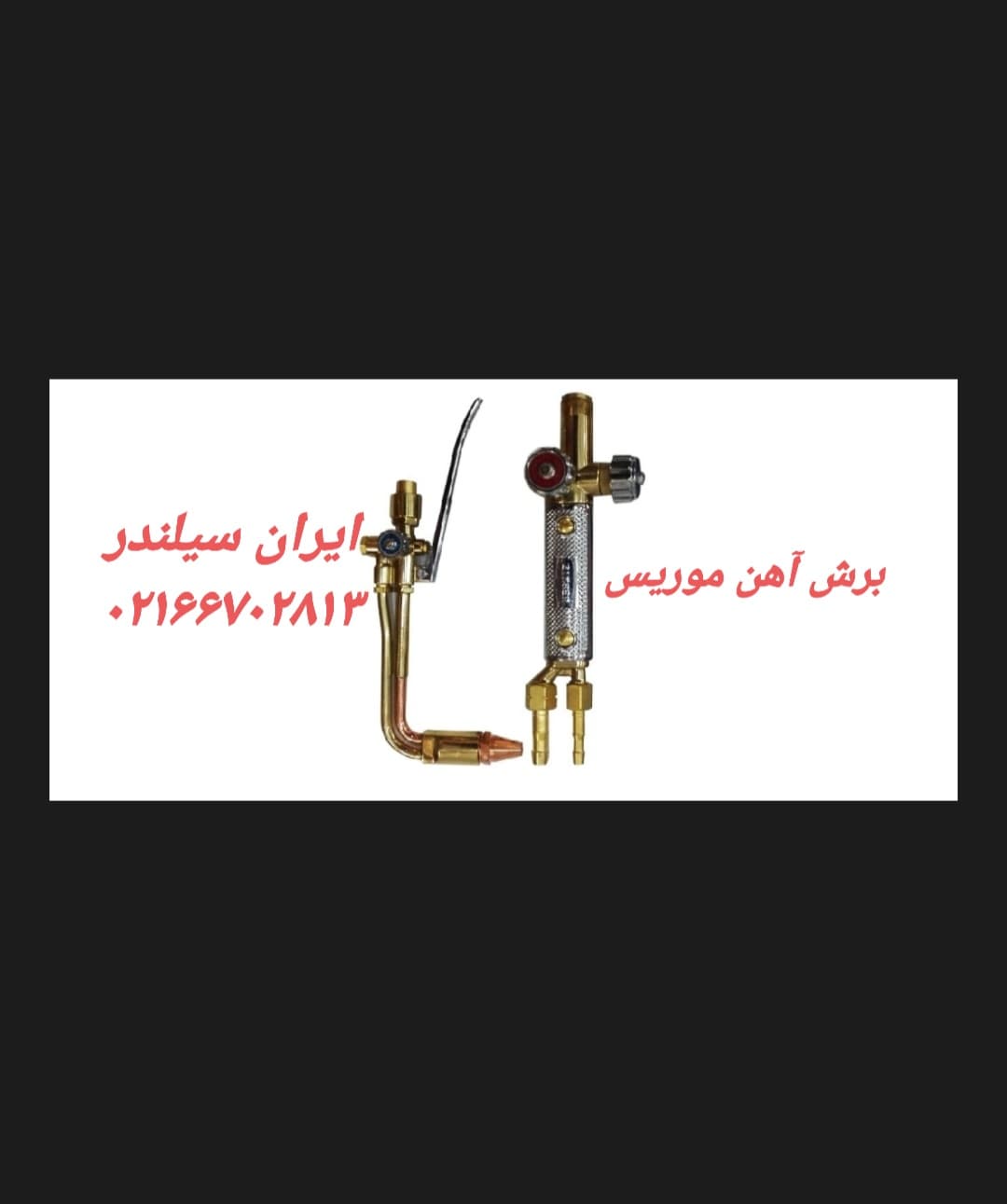 برش موریس تایوان