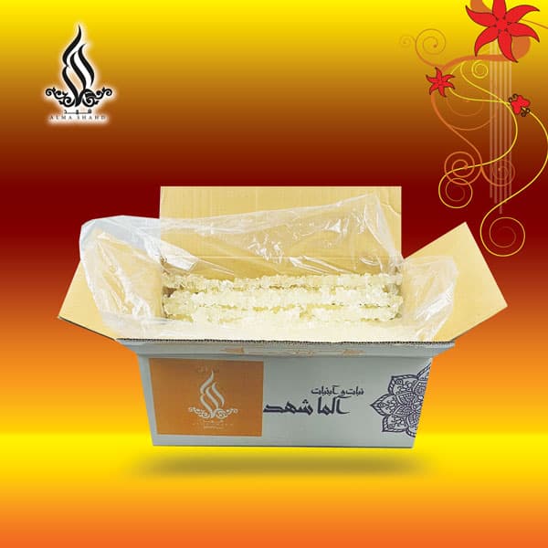 نبات شاخه سفید — تصویر ۳