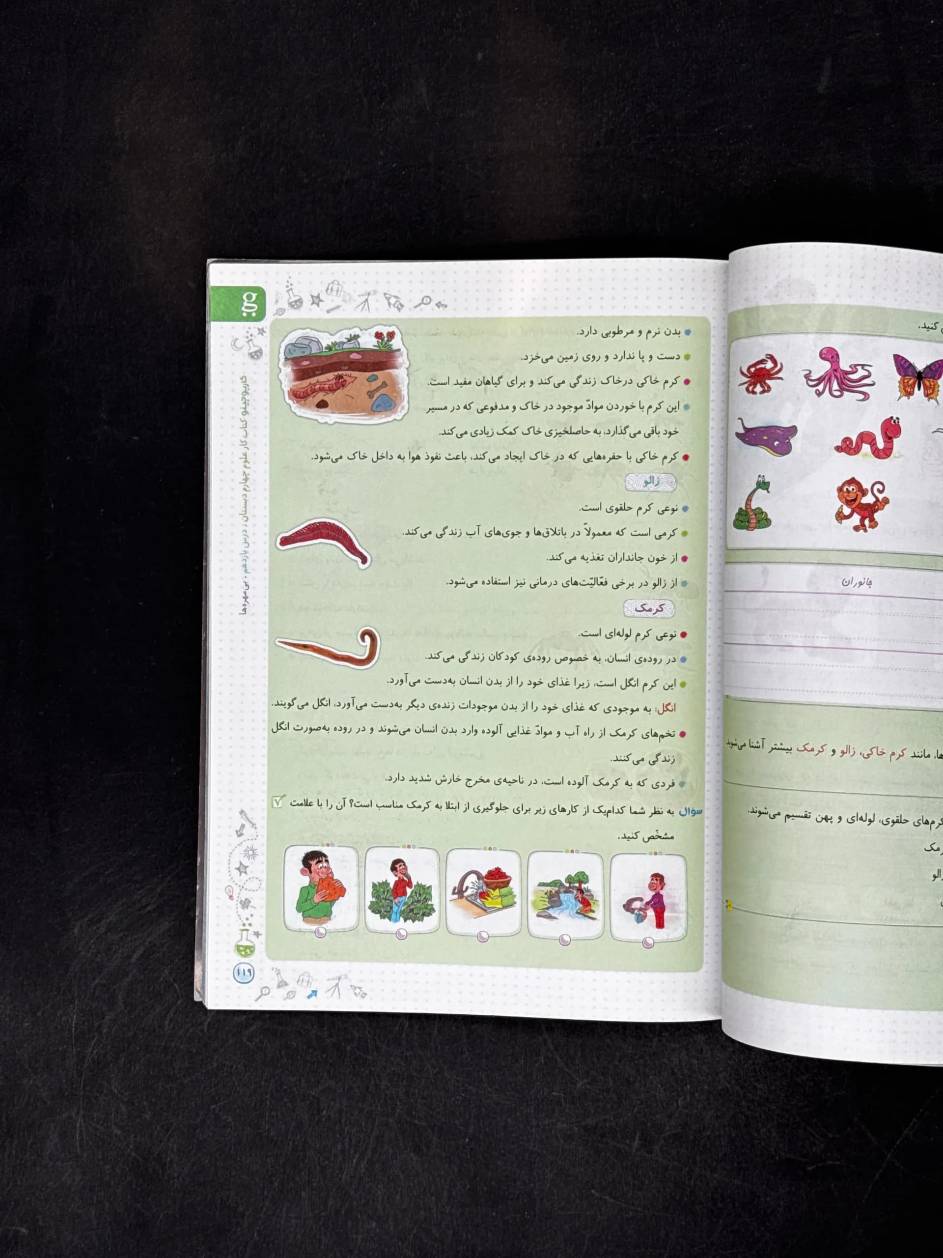 کتاب علوم چهارم کتاب کار کارپوچینو گاج — تصویر ۹