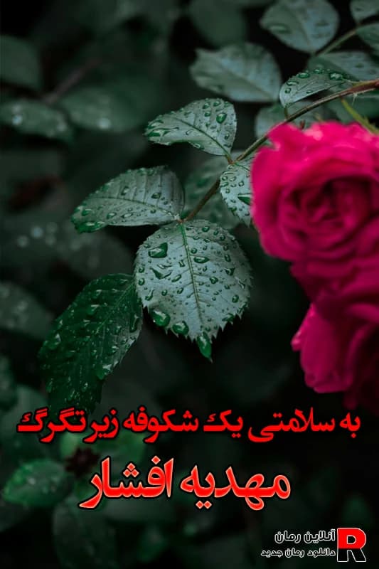 رمان به سلامتی یک شکوفه زیر تگرگ/هیجانی متفاوت | دانلود | کتاب خوان