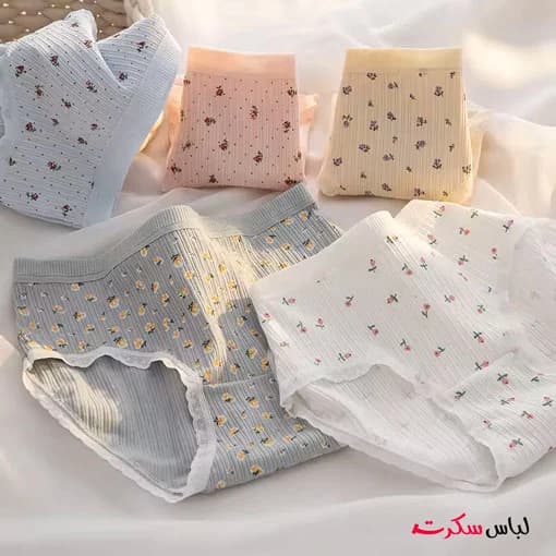 شورت نخی کبریتی سایز بزرگ زنانه ls0007 — تصویر ۸