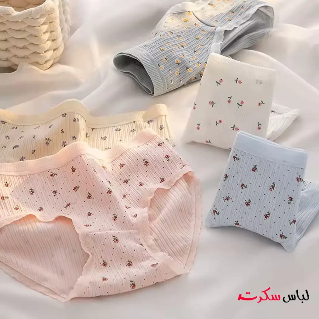 شورت نخی کبریتی سایز بزرگ زنانه ls0007 — تصویر ۱۱