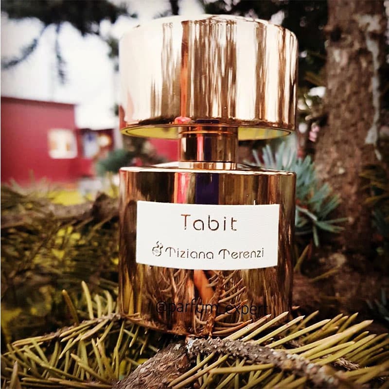 عطر تیزیانا ترنزی تابیت — تصویر ۱۱