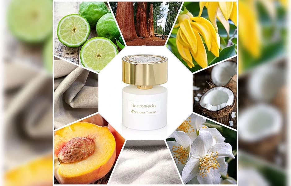 عطر تیزیانا ترنزی اندرومدا — تصویر ۷