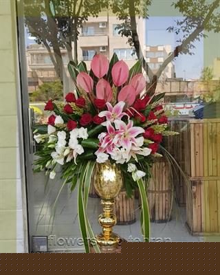 گیاهان آپارتمانی برگ رنگی ؛ هدیه‌ای امن برای وقتی نمی‌دانی چه بخری — تصویر ۲
