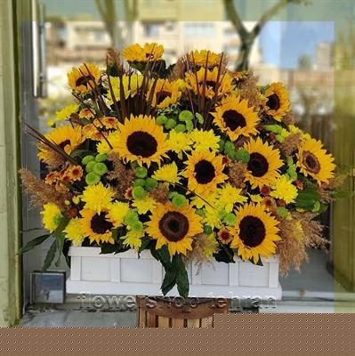 زیباترین گل جهان ؛ هدیه‌ای امن برای وقتی نمی‌دانی چه بخری — تصویر ۲