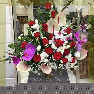 گلهای قشنگ دنیا مناسب شرکت‌ها، مطب‌ها و فضاهای اداری — تصویر ۲