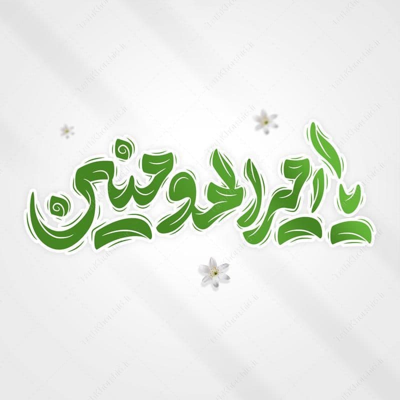 خطاطی و تایپوگرافی یا امیرالمومنین — تصویر ۵