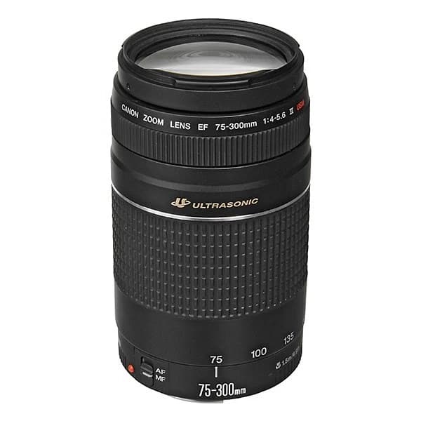 لنز دست دوم کانن مدل Canon 75-300 — تصویر ۳