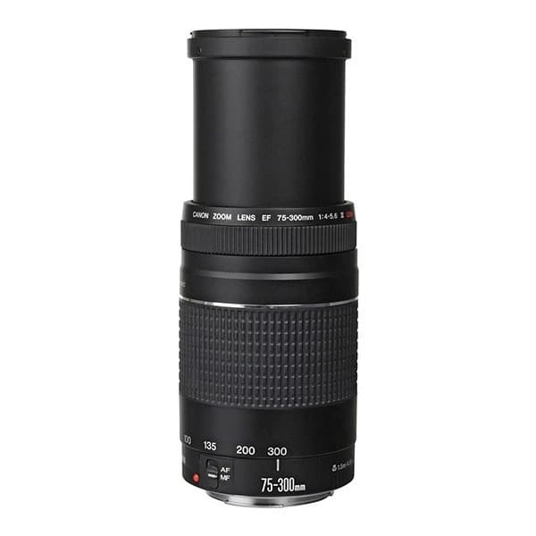 لنز دست دوم کانن مدل Canon 75-300 — تصویر ۴