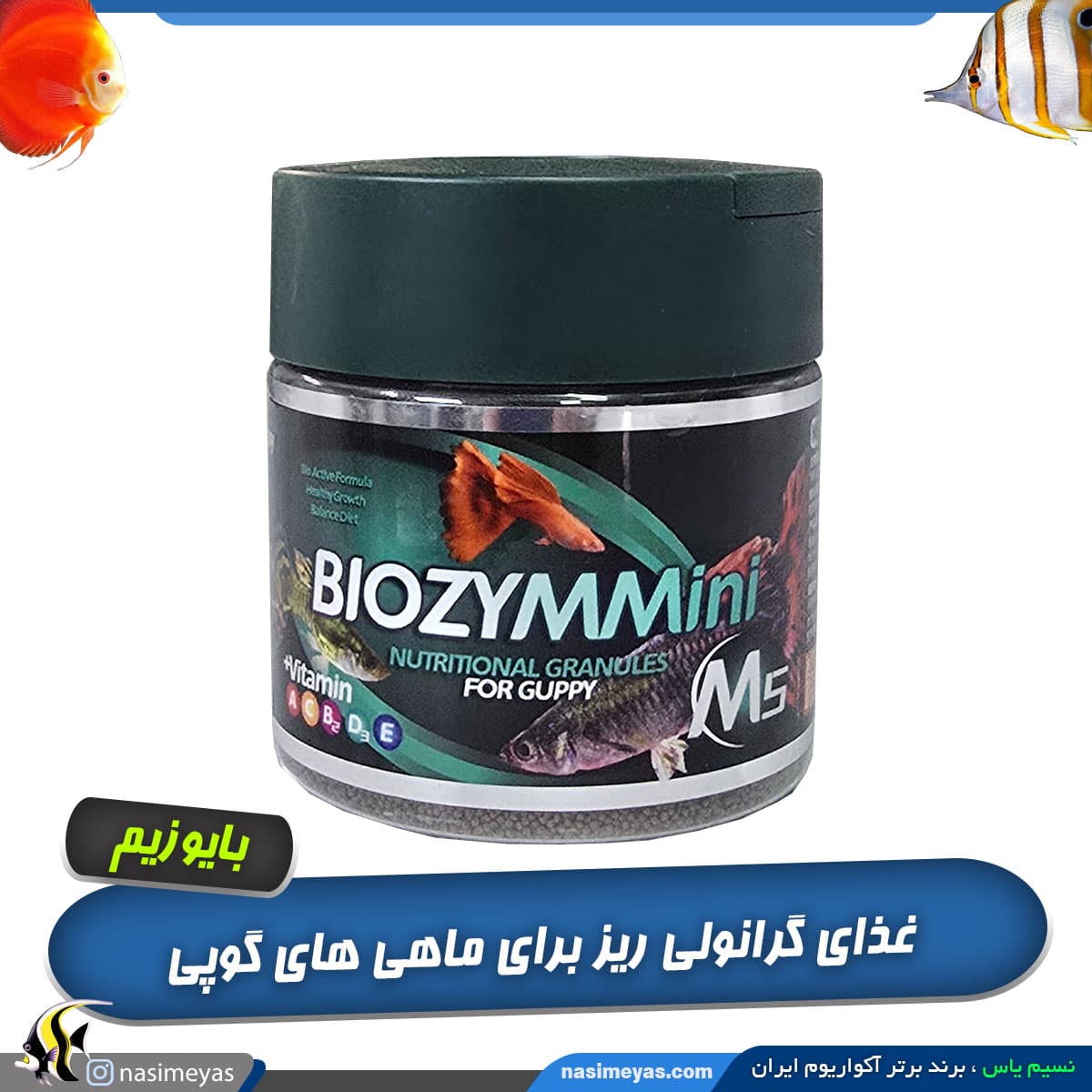 غذای گرانول زیر برای گوپی M501 بایوزیم — تصویر ۲