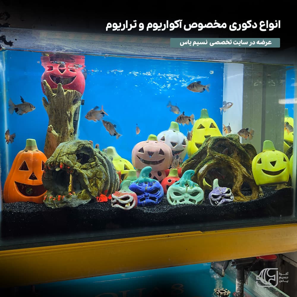 دکوری آکواریوم سرامیکی طرح آدم برفی کد K45 — تصویر ۶