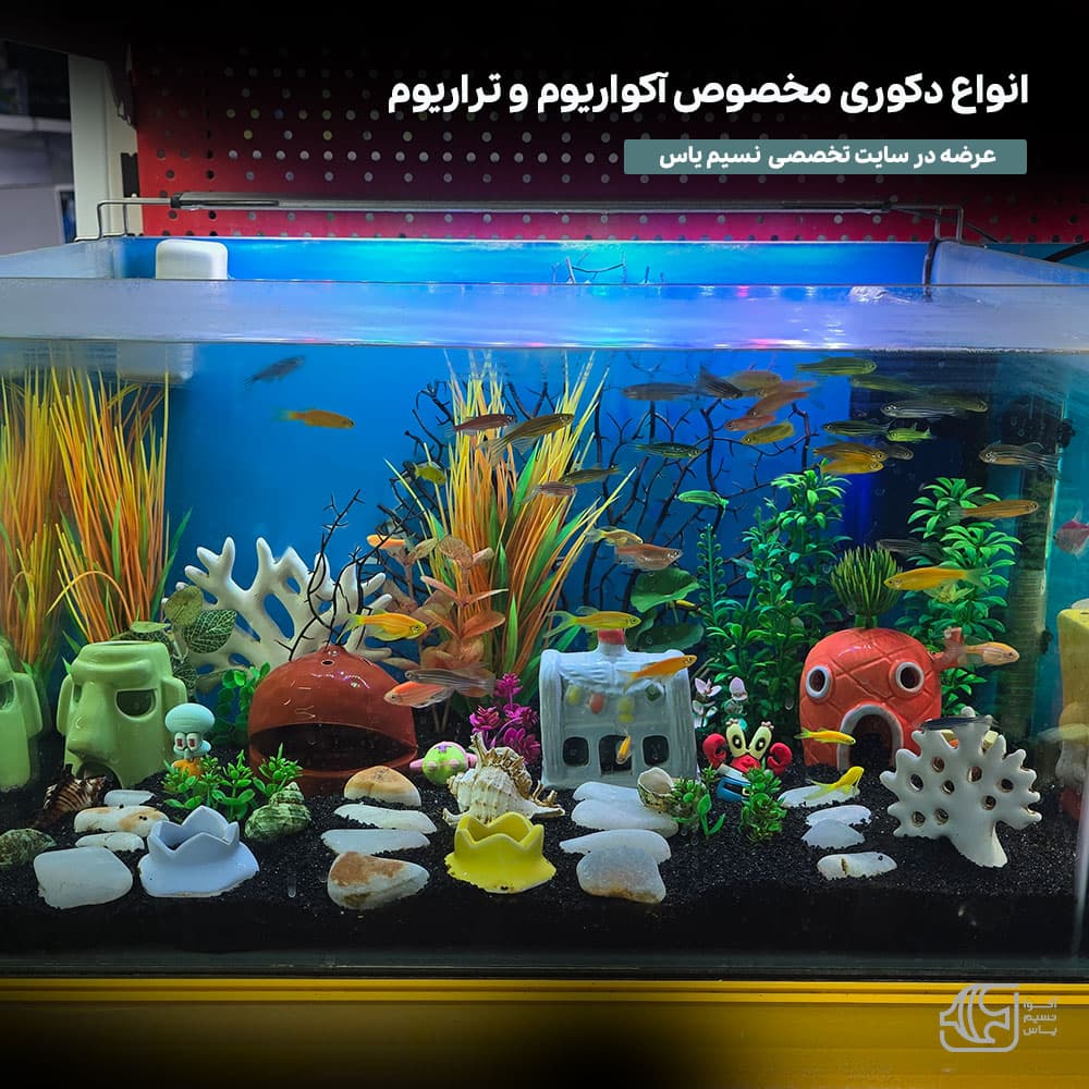 دکوری آکواریوم سرامیکی باب اسفنجی بزرگ کد K44 — تصویر ۸