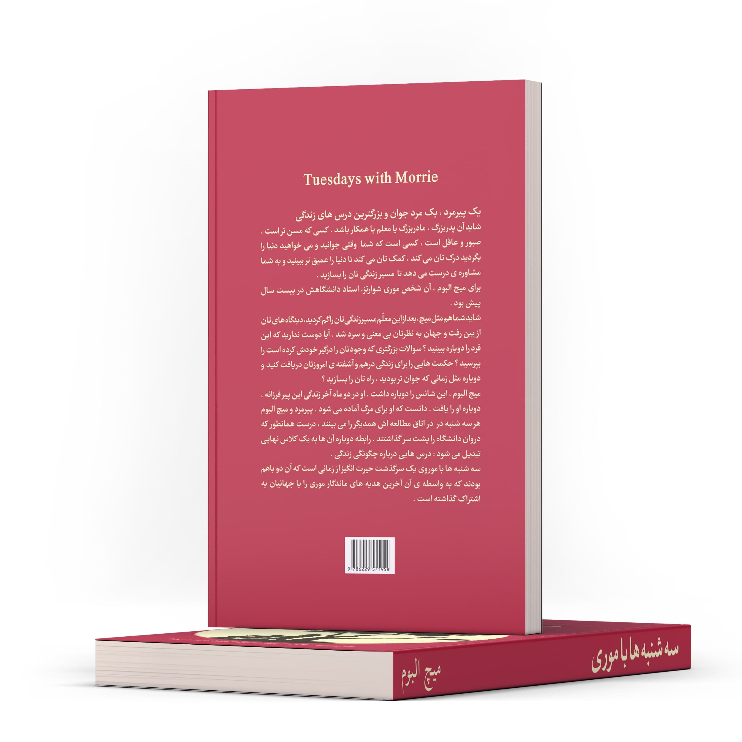 سه شنبه ها با موری اثر میچ آلبوم — تصویر ۶