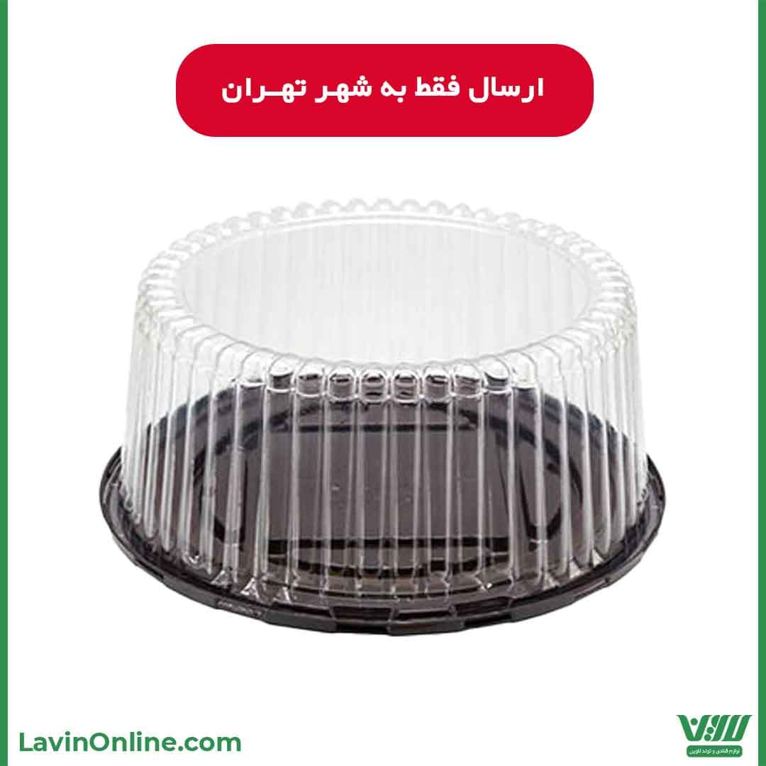 ظرف حمل کیک 32 (2 عددی)