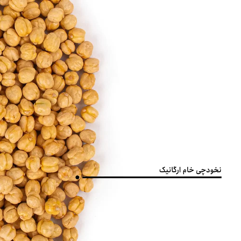 نخودچی خام ارگانیک — تصویر ۱۲