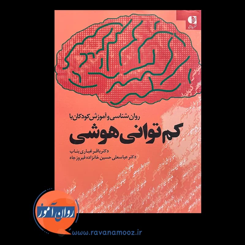 روانشناسی و آموزش کودکان با کم توانی هوشی – باقر غباری بناب — تصویر ۲