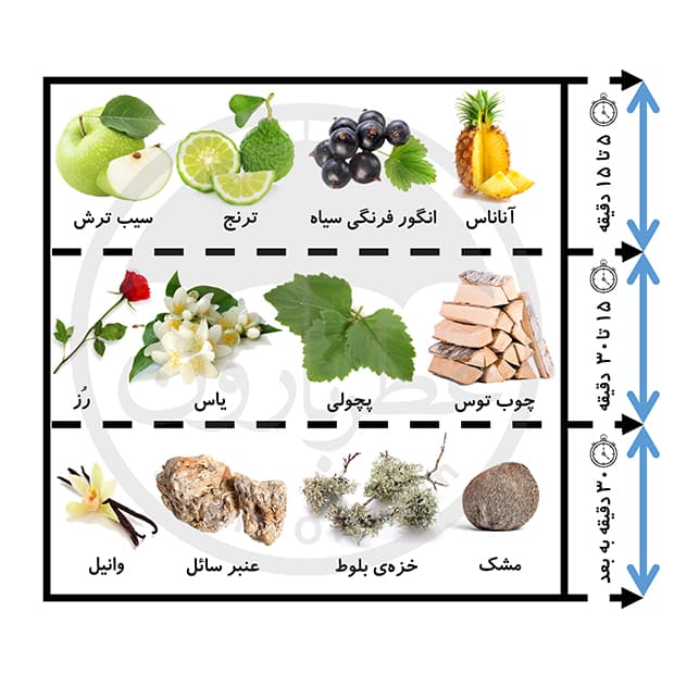 ادوپرفیوم مردانه بوگاتینی اورینتال حجم 100 میلی‌لیتر — تصویر ۲