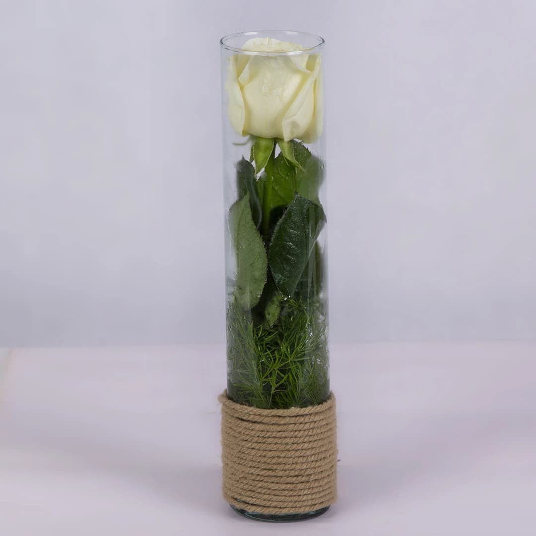 باکس شیشه ای گل رز هلندی نباتی کد 1780| باختر — تصویر ۲