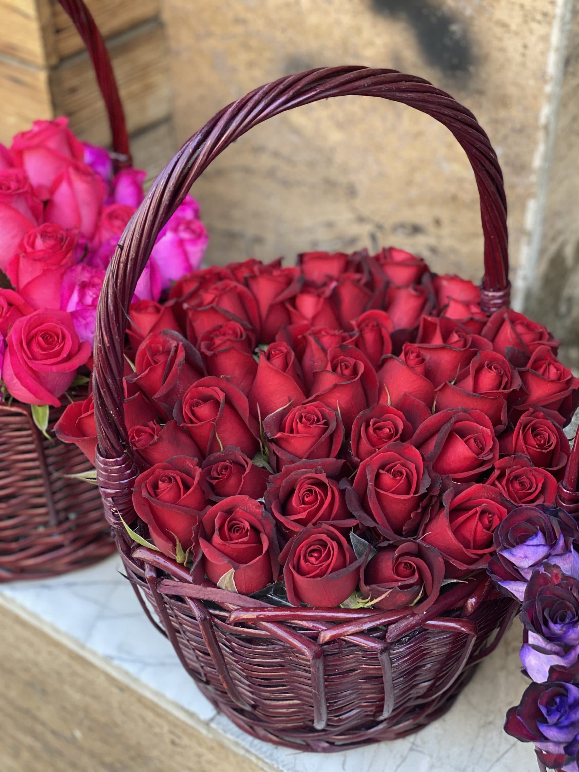 انواع گلدان و گیاهان آپارتمانی