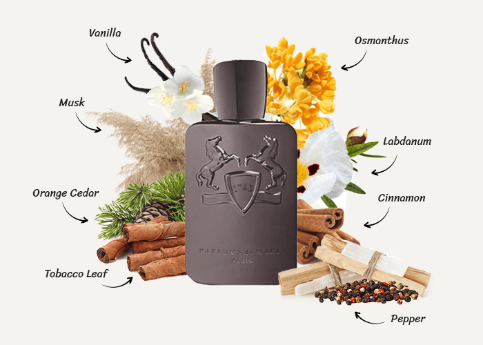 ادوپرفیوم مردانه پارفومز دی مارلی هرود _ Parfums De Marly Herod — تصویر ۸