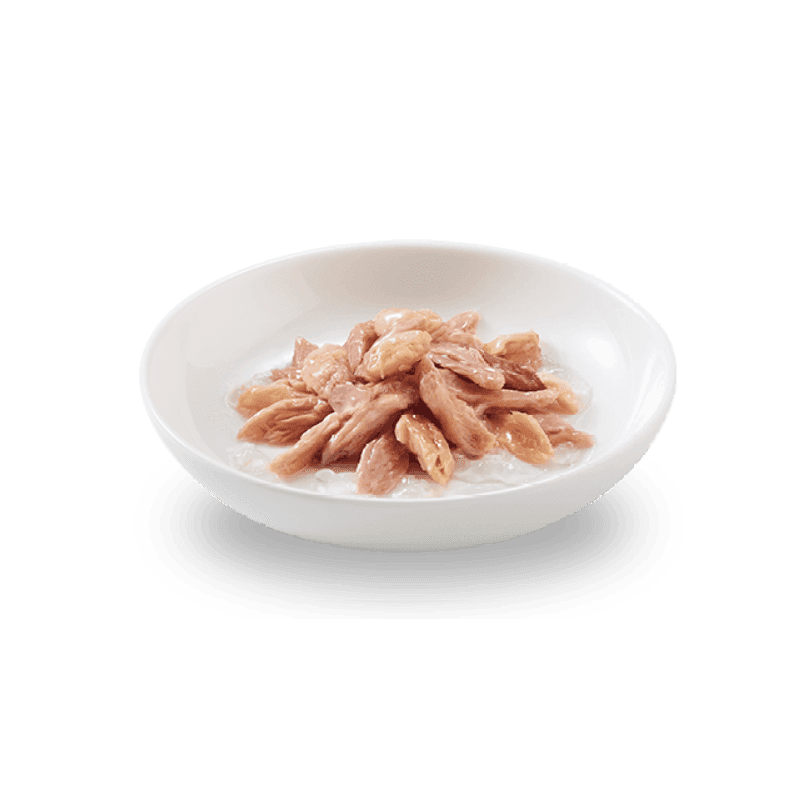 پوچ گربه شسیر تن و سالمون در ژله 50 گرم — تصویر ۴