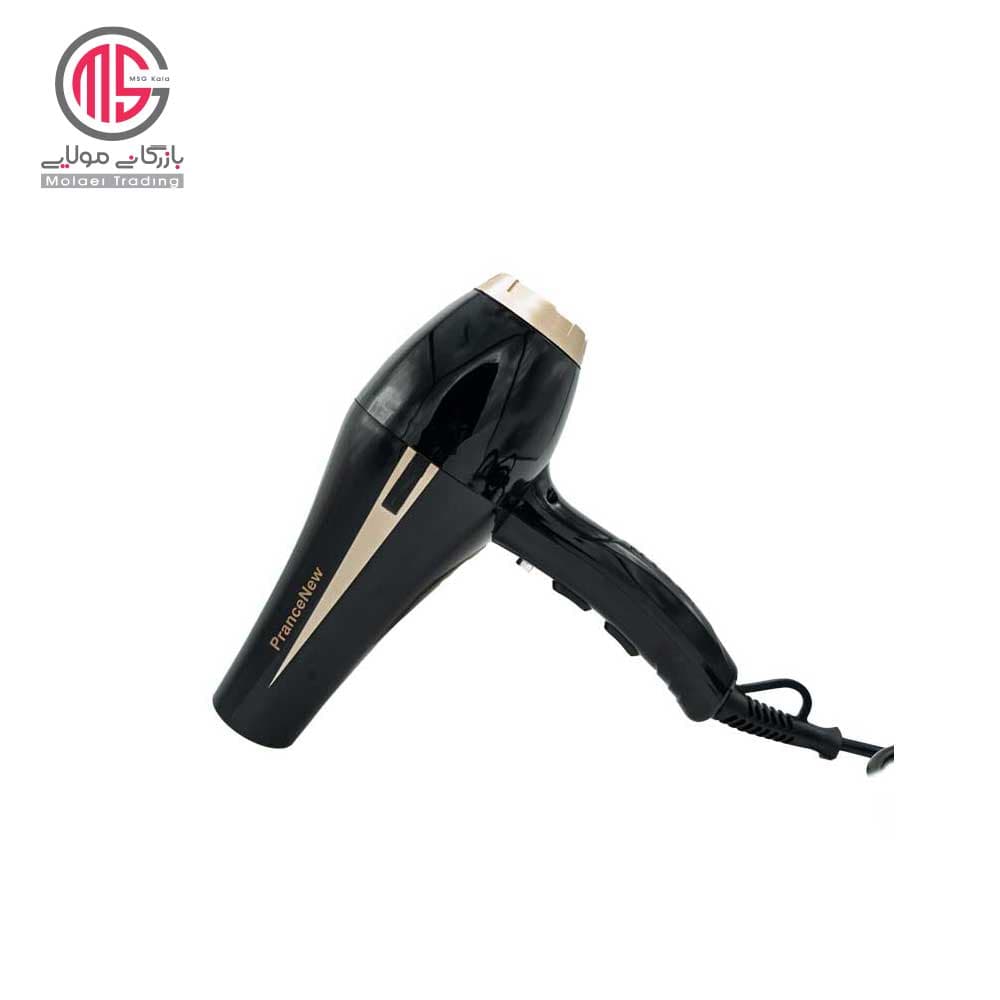 سشوار پرنس نیو پرنسلی مدل2002