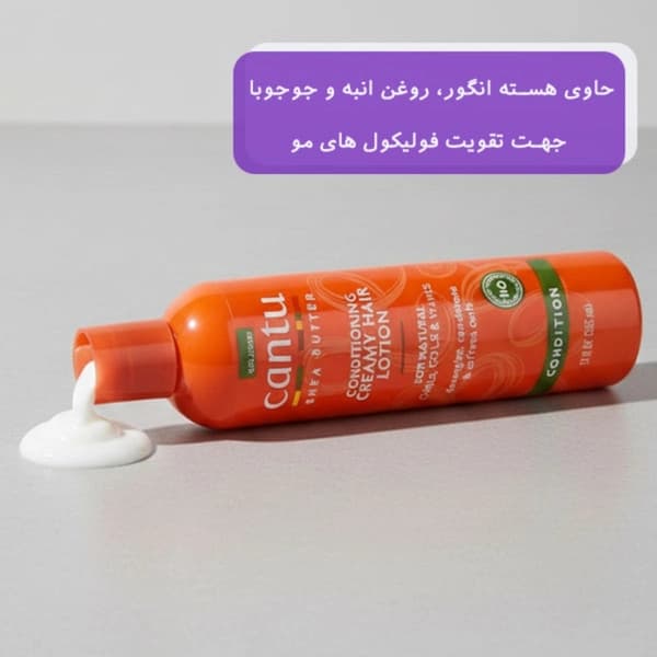 لوسیون نرم کننده موی فر کنتو حاوی شی باتر حجم 355 میلی لیتر — تصویر ۷