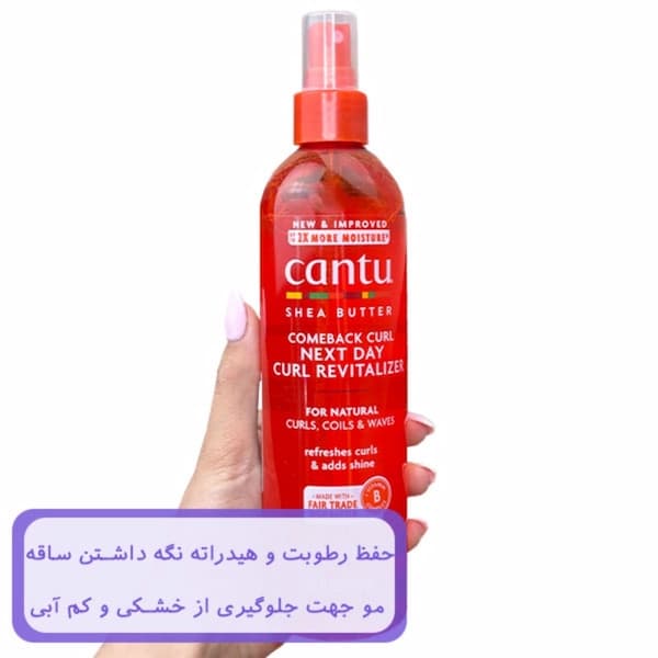 اسپری احیا کننده موی فر کنتو حاوی شی باتر حجم 355 میلی لیتر — تصویر ۶