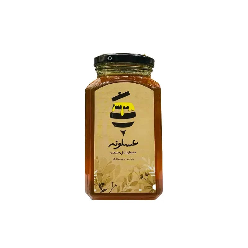 عسل داروئی کوهستان 800 گرم