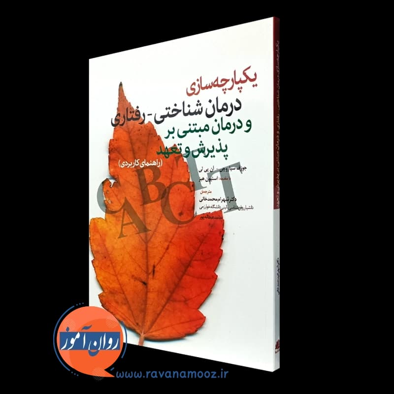 یکپارچه سازی درمان شناختی رفتاری و درمان مبتنی بر پذیرش و تعهد — تصویر ۴