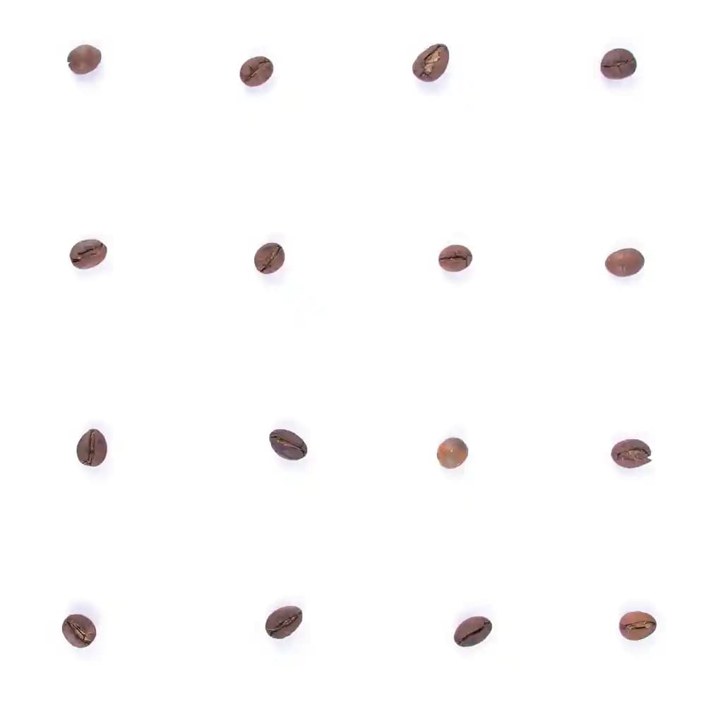 قهوه ترکیبی مهتاب ۸۰٪ روبوستا + ۲۰٪ عربیکا — تصویر ۱۱
