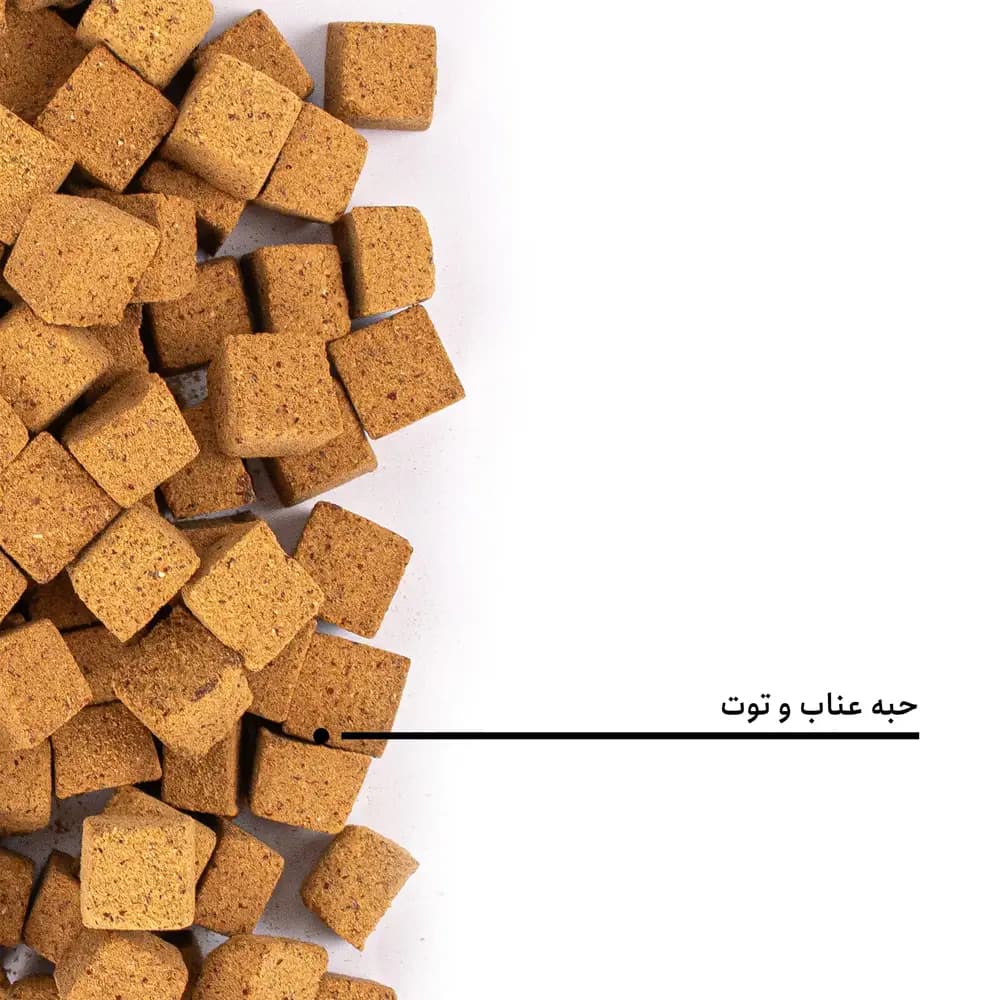 حبه عناب و توت — تصویر ۹