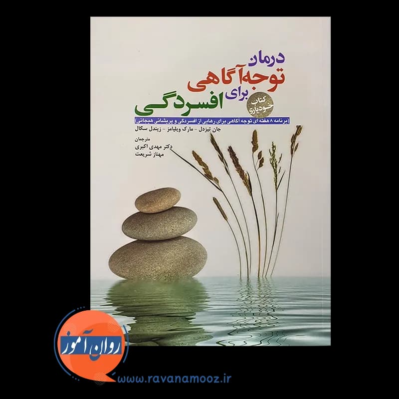 درمان توجه آگاهی برای افسردگی – جان تیزدل — تصویر ۵