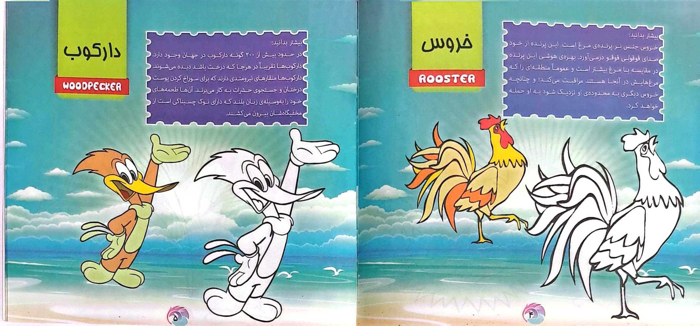 کتاب کودک (رنگ آمیزی پرندگان) — تصویر ۶