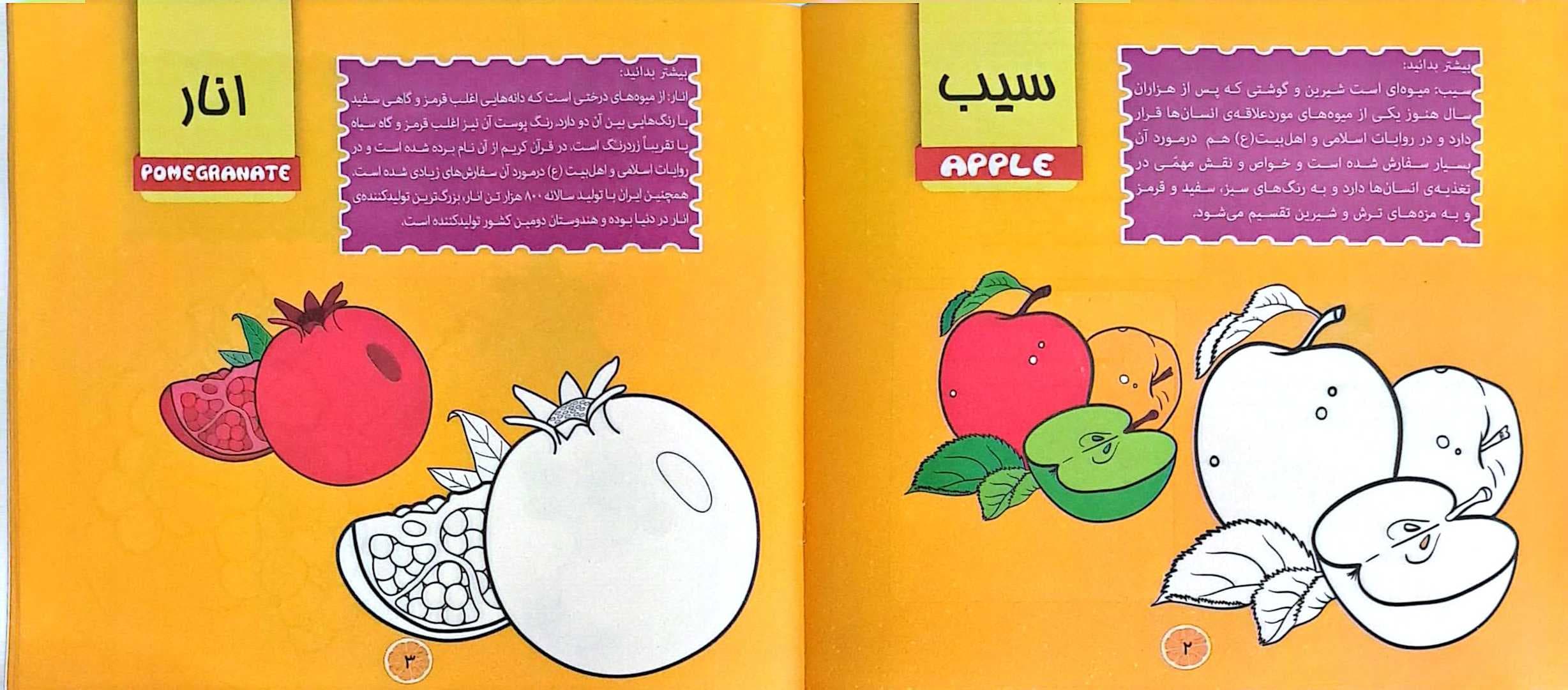 کتاب کودک (آشنایی با میوه ها) — تصویر ۲