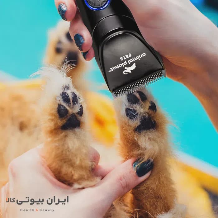 ماشین اصلاح موی حیوانات خانگی شارژی MRY مدل QR‑P889 — تصویر ۱۲
