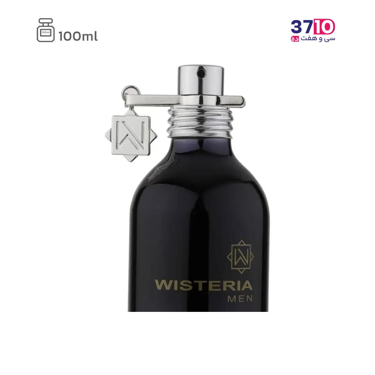 ادوپرفیوم مردانه ویستریا مدل جنتلمن Gentleman حجم 100 میلی لیتر — تصویر ۱۲