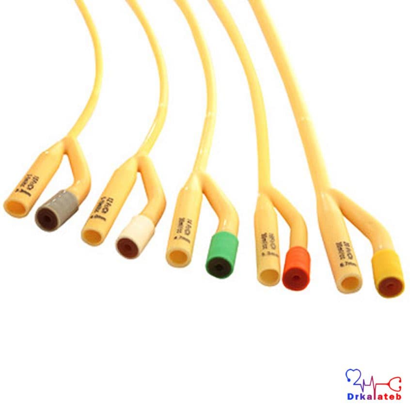سوند فولی — تصویر ۳