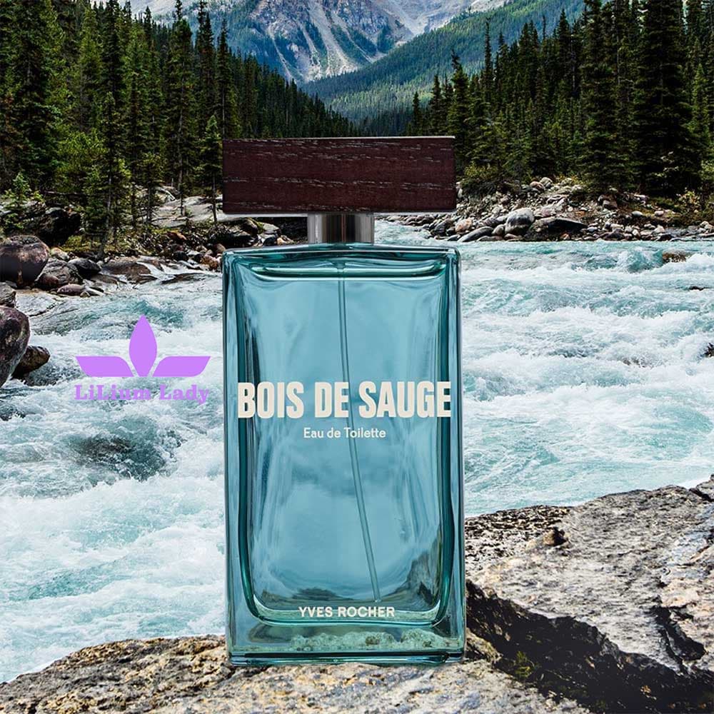 عطر مردانه بویس د سوگ ایوروشه ۱۰۰ میلی لیتر — تصویر ۷